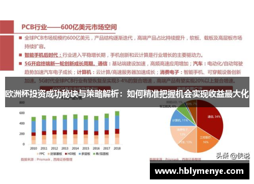 欧洲杯投资成功秘诀与策略解析：如何精准把握机会实现收益最大化