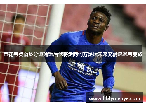 申花与费南多分道扬镳后他将走向何方足坛未来充满悬念与变数